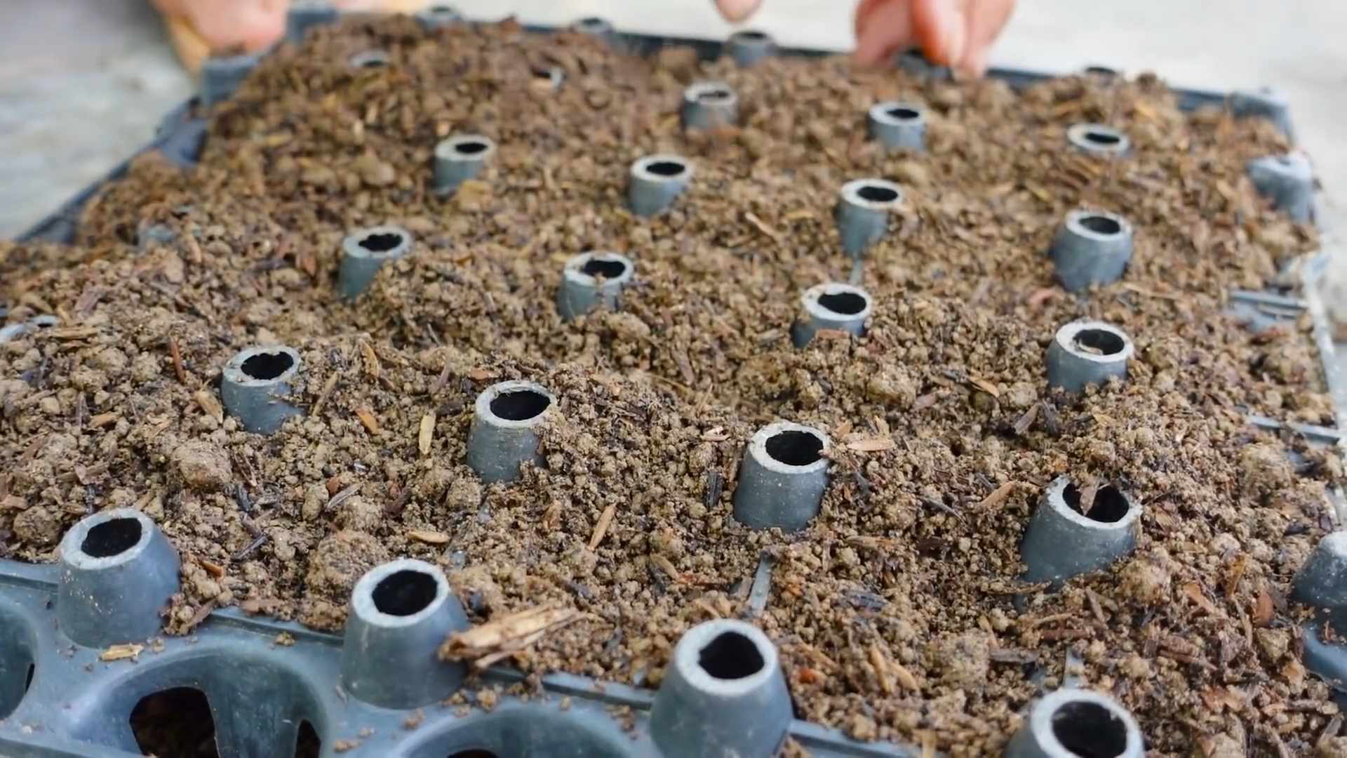 DIY Leaf Mustard Bottle Garden