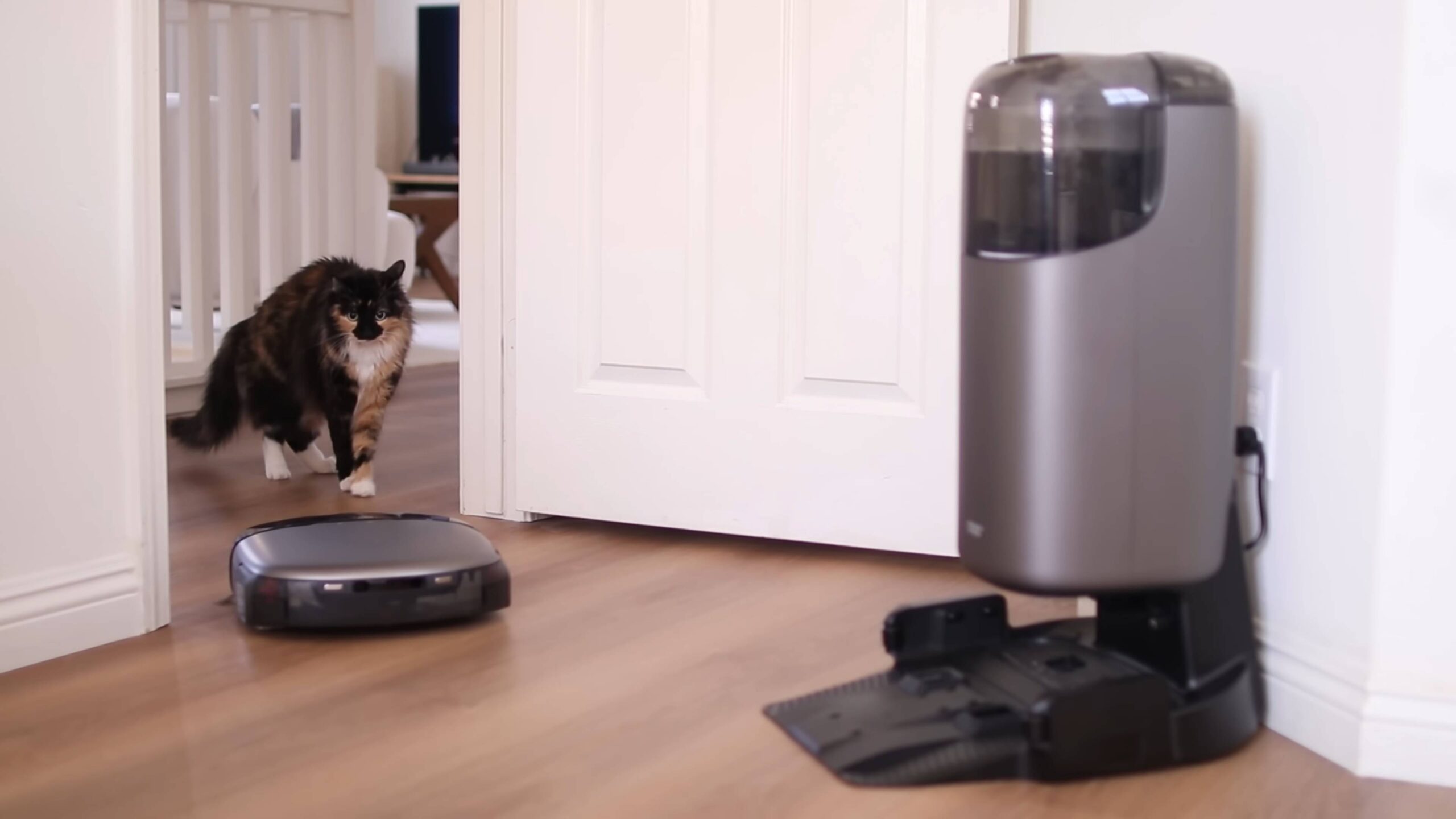 Easy daily home cleaning routine