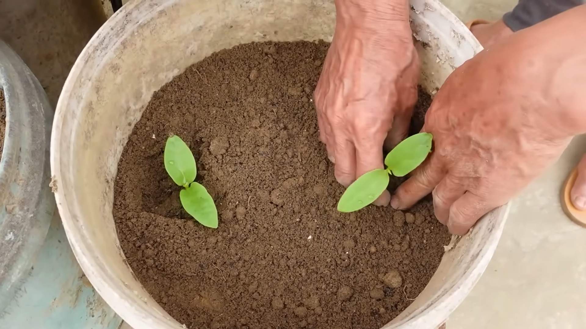 Indoor Veggie Tower