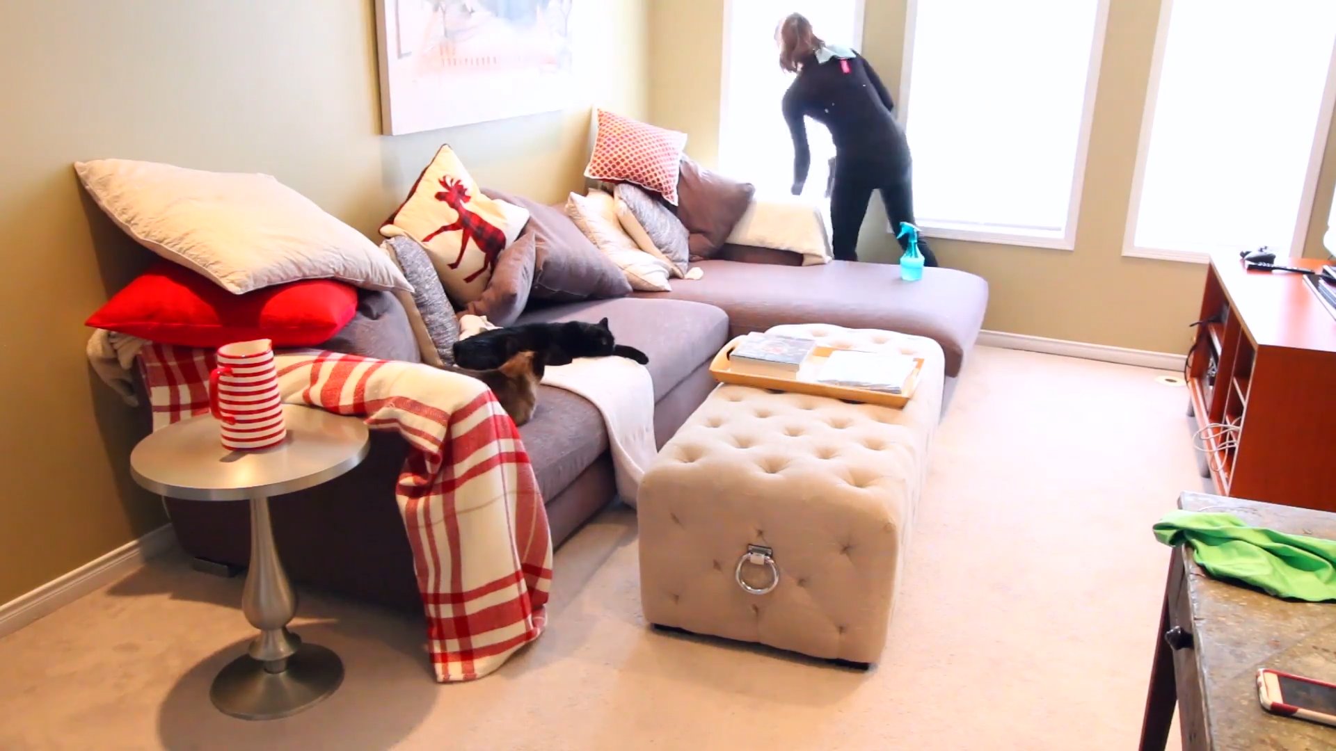 Living Room Cleaning Tips