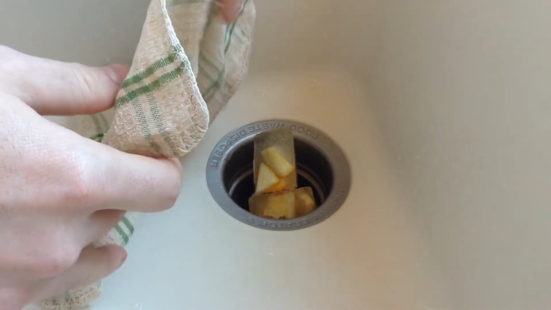 Garbage Disposal Cleaning DIY