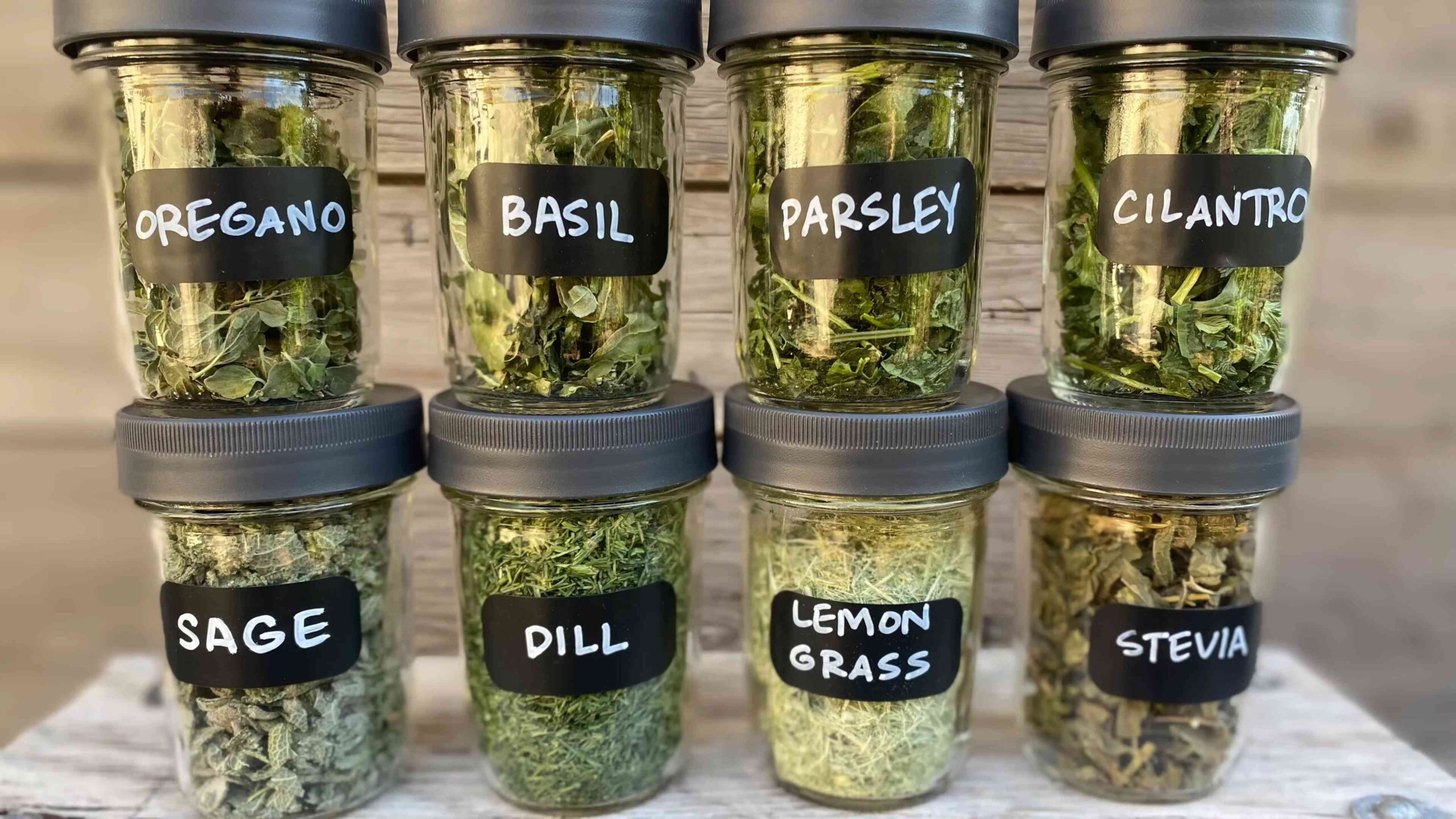 Summer herbs for hot climates