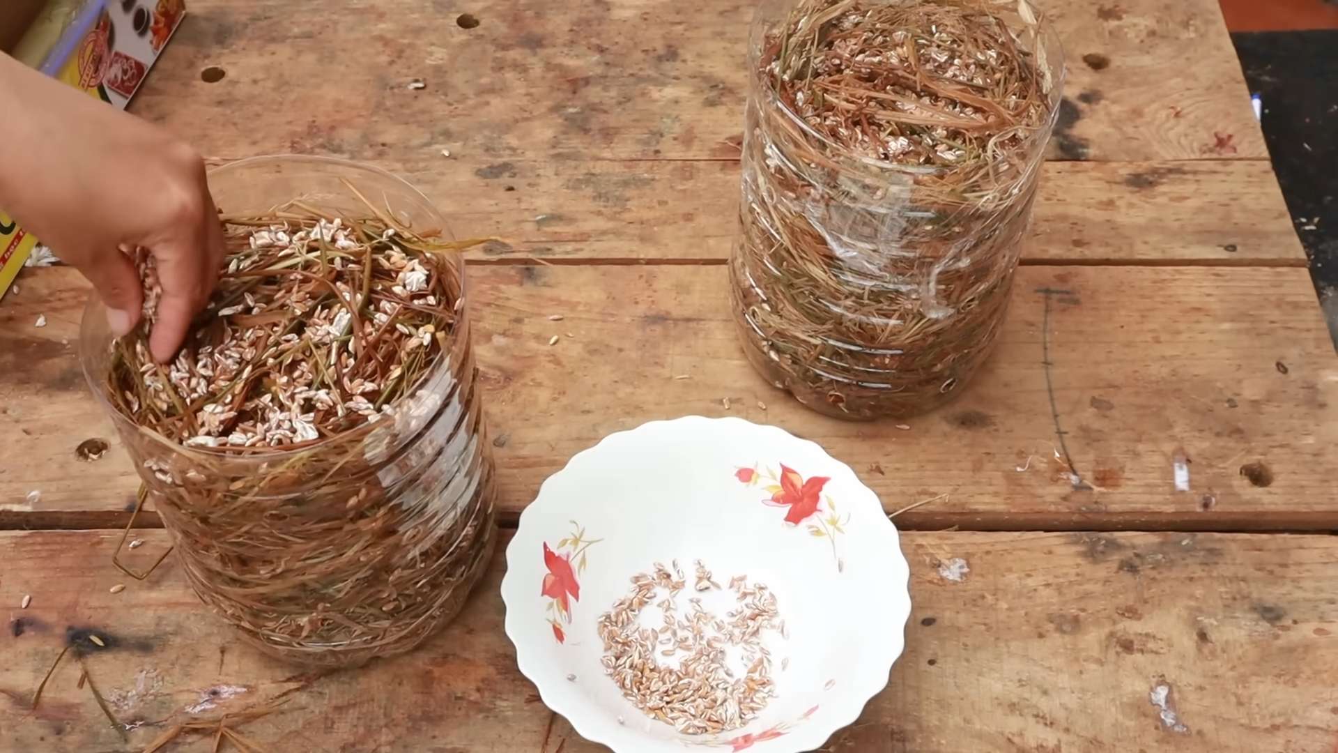 Mushroom Growing Recycled Cans