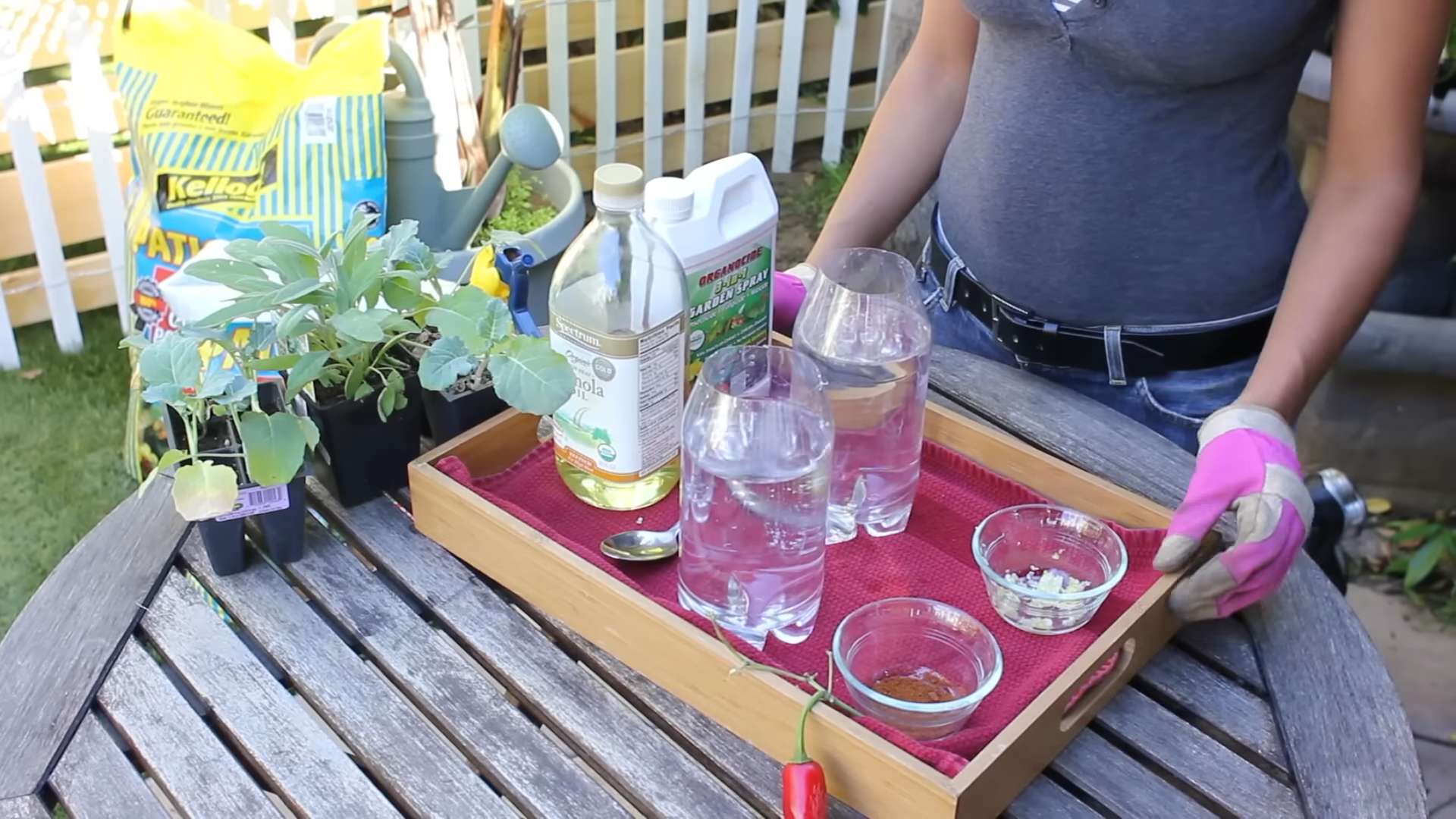 Natural Insecticides for Vegetable Gardens